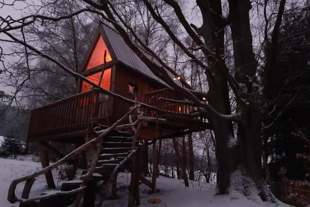 Enjoy Cozy Tree House Hills Forest Gardens Beautiful Views Sauna Hotbath Jablonné v Podještědí Exterior foto
