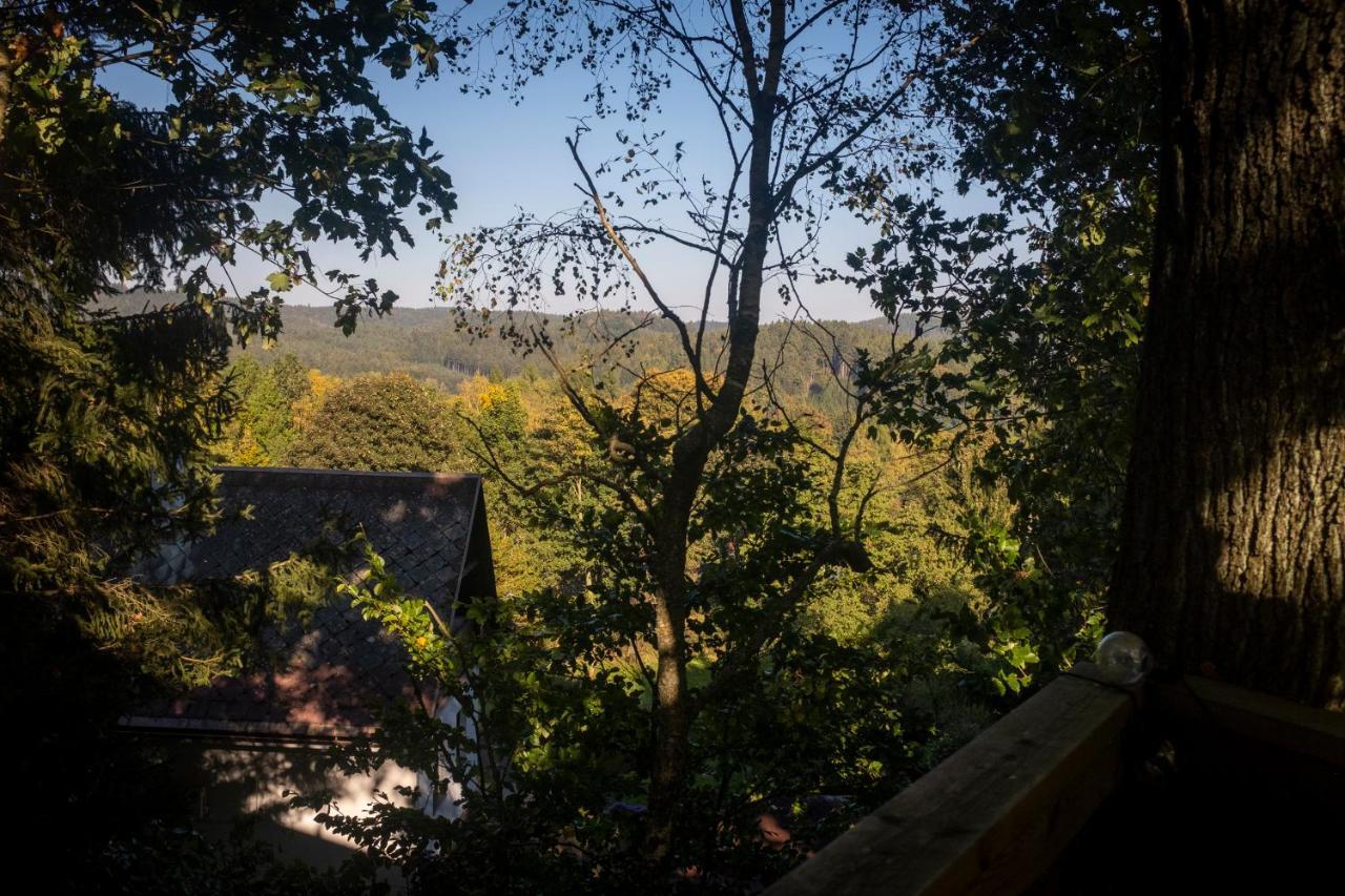 Enjoy Cozy Tree House Hills Forest Gardens Beautiful Views Sauna Hotbath Jablonné v Podještědí Exterior foto